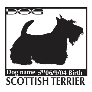  XebJ[A XReBbVeA LTCY XebJ[  oCN X[cP[X