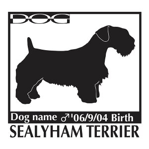  XebJ[A V[neA LTCY XebJ[  oCN X[cP[X