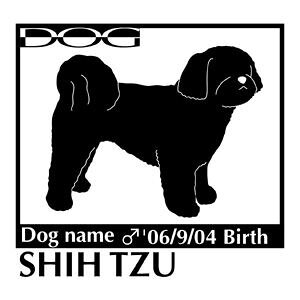  XebJ[A V[Y[ NEWMTCY XebJ[  oCN X[cP[X