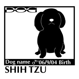  XebJ[A V[Y[ NEWMTCY XebJ[  oCN X[cP[X