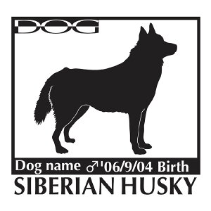  XebJ[A VxAnXL[ LTCY XebJ[  oCN X[cP[X