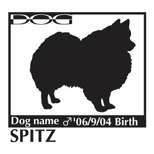  XebJ[A Xsbc LTCY XebJ[  oCN X[cP[X