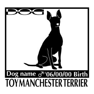  XebJ[A gC}`FX^[eA MTCY XebJ[  oCN X[cP[X