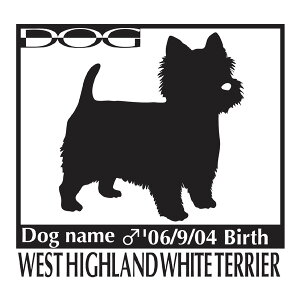  XebJ[A EGXgnChzCgeA / EGXeB[@MTCY XebJ[  oCN X[cP[X