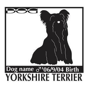  XebJ[A [NV[eA LTCY XebJ[  oCN X[cP[X