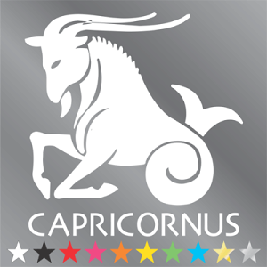 星座 グッズ シール 山羊座 ステッカー (やぎ座・capricornus)カー シール 自動車 車 星 カッティング シート イラスト デカール ステッカー 車 バイク スーツケース
