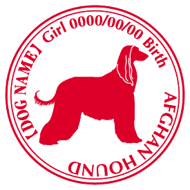 楽天市場 アフガンハウンド ステッカーの通販