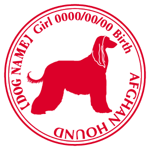 AtKnEh XebJ[ Cp^[ ObY O V[ fJ[ VGbg  JbRCC JbR IWi  car J[ V[ fJ[   Ck VGbg e 