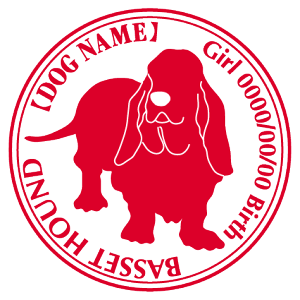 oZbgnEh XebJ[ Cp^[ ObY O V[ fJ[ VGbg  JbRCC JbR IWi  car J[ V[ fJ[   Ck VGbg e 