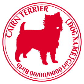 楽天市場 Cai キャリーバックの通販