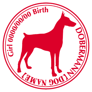 h[x}  XebJ[ O V[ fJ[ VGbg Cp^[XebJ[ V[ fJ[ VGbg  J[ V[ fJ[   Ck VGbg e A ANZT[ X