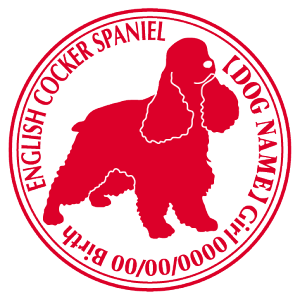 CObVRbJ[XpjG XebJ[ Cp^[ ObY O V[ fJ[ VGbg  JbRCC JbR IWi  car J[ V[ fJ[   C