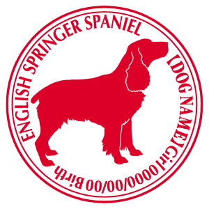 CObVXvK[XpjG  XebJ[ O V[ fJ[ VGbg Cp^[XebJ[ V[ fJ[ VGbg  J[ V[ fJ[   Ck VGbg