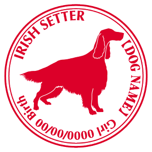 ACbVZ^[ XebJ[ Cp^[ ObY O V[ fJ[ VGbg  JbRCC JbR IWi  car J[ V[ fJ[   Ck VGbg e