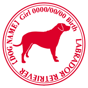 uh[g[o[ XebJ[ Cp^[ ObY O V[ fJ[ VGbg  JbRCC JbR IWi  car J[ V[ fJ[   Ck VG