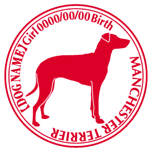 }`FX^[eA XebJ[ Cp^[ ObY O V[ fJ[ VGbg  JbRCC JbR IWi  car J[ V[ fJ[   Ck V