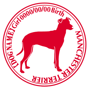 }`FX^[eA΂ߌ XebJ[ Cp^[ ObY O V[ fJ[ VGbg  JbRCC JbR IWi  car J[ V[ fJ[   Ck V