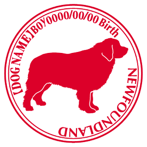 j[t@hh XebJ[ Cp^[ ObY O V[ fJ[ VGbg  JbRCC JbR IWi  car J[ V[ fJ[   Ck VGbg 