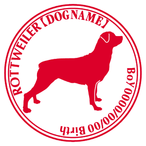 bgC[ XebJ[ Cp^[ ObY O V[ fJ[ VGbg  JbRCC JbR IWi  car J[ V[ fJ[   Ck VGbg e 