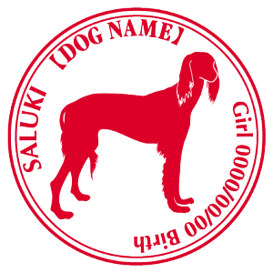 T[L  XebJ[ O V[ fJ[ VGbg Cp^[XebJ[ V[ fJ[ VGbg  J[ V[ fJ[   Ck VGbg e A ANZT[ Xeb