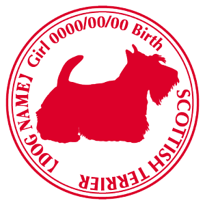 XReBbVeA XebJ[ Cp^[ ObY O V[ fJ[ VGbg  JbRCC JbR XRb`eA IWi  car J[ V[ fJ[   