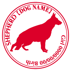 W[}VFp[hhbO  XebJ[ O V[ fJ[ VGbg Cp^[XebJ[ V[ fJ[ VGbg  J[ V[ fJ[   Ck VGbg e A A