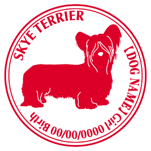 XJCeA XebJ[ Cp^[ ObY O V[ fJ[ VGbg  JbRCC JbR IWi  car J[ V[ fJ[   Ck VGbg e A 