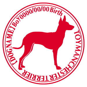 gC}`FX^[eA XebJ[ Cp^[ ObY O V[ fJ[ VGbg  JbRCC JbR IWi  car J[ V[ fJ[   Ck 