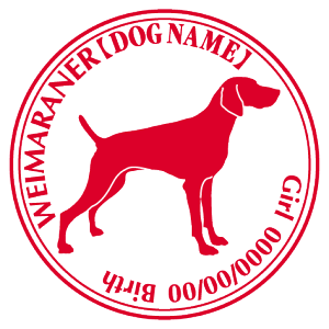 C}i[ XebJ[ Cp^[ ObY O V[ fJ[ VGbg  JbRCC JbR IWi  car J[ V[ fJ[   Ck VGbg e A 