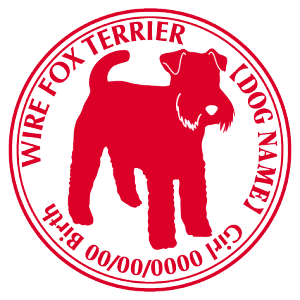 C?tHbNXeA XebJ[ Cp^[ ObY O V[ fJ[ VGbg  JbRCC JbR IWi  car J[ V[ fJ[   Ck VGb