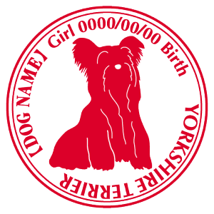 [NV[eA  XebJ[ O V[ fJ[ VGbg Cp^[XebJ[ V[ fJ[ VGbg  J[ V[ fJ[   Ck VGbg e A ANZT