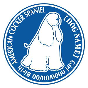 AJRbJ[XpjG  XebJ[ O V[ fJ[ VGbg Dp^[ J[ V[ fJ[   Ck VGbg e A ANZT[ O name KX X