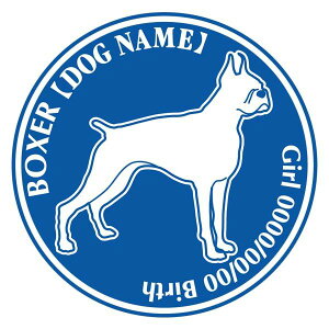 {NT[  XebJ[ O V[ fJ[ VGbg Dp^[ J[ V[ fJ[   Ck VGbg e A ANZT[ O name KX XebJ[  oCN X[cP