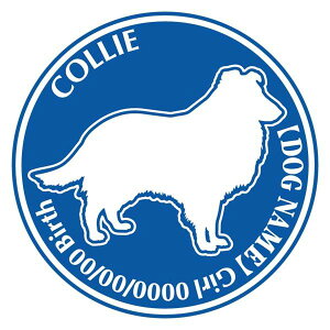 R[  XebJ[ O V[ fJ[ VGbg Dp^[ J[ V[ fJ[   Ck VGbg e A ANZT[ O name KX XebJ[  oCN X[cP[