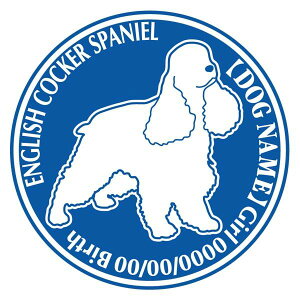 CObVRbJ[XpjG  XebJ[ O V[ fJ[ VGbg Dp^[ J[ V[ fJ[   Ck VGbg e A ANZT[ O name KX Xe