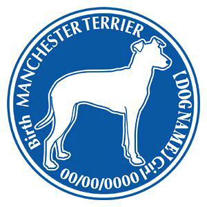 }`FX^[eA΂ߌ  XebJ[ O V[ fJ[ VGbg Dp^[ J[ V[ fJ[   Ck VGbg e A ANZT[ O name KX XebJ