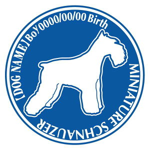 ~j`AViEU[  XebJ[ O V[ fJ[ VGbg Dp^[ J[ V[ fJ[   Ck VGbg e A ANZT[ O name KX XebJ[  o