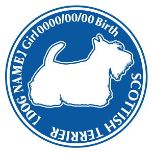 XReBbVeA  XebJ[ O V[ fJ[ VGbg Dp^[ J[ V[ fJ[   Ck VGbg e A ANZT[ O name KX XebJ[  oC