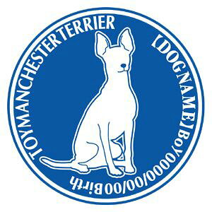 gC}`FX^[eA  XebJ[ O V[ fJ[ VGbg Dp^[ J[ V[ fJ[   Ck VGbg e A ANZT[ O name KX Xeb