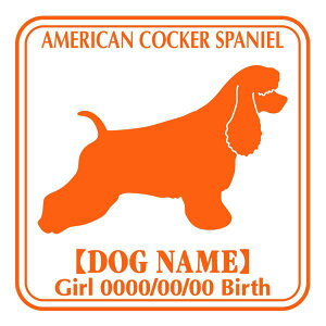 AJRbJ[XpjG  XebJ[ O V[ fJ[ VGbg Ep^[ J[ V[ fJ[   Ck VGbg e A ANZT[ O name KX X