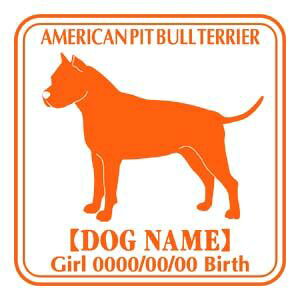 AJsbgueA XebJ[ Ep^[ ObY O V[ fJ[ VGbg  JbRCC JbR IWi  car J[ V[ fJ[   C