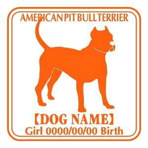 AJsbgueA΂  XebJ[ O V[ fJ[ VGbg Ep^[ J[ V[ fJ[   Ck VGbg e A ANZT[ O name KX Xeb