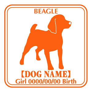 r[O XebJ[ Ep^[ ObY O V[ fJ[ VGbg  JbRCC JbR IWi  car J[ V[ fJ[   Ck VGbg e A AN