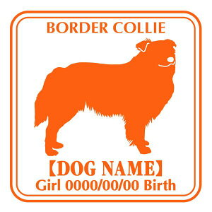 {[_[R[ XebJ[ Ep^[ ObY O V[ fJ[ VGbg  JbRCC JbR IWi  car J[ V[ fJ[   Ck VGbg e 