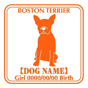 {XgeA XebJ[ Ep^[ ObY O V[ fJ[ VGbg  JbRCC JbR IWi  car J[ V[ fJ[   Ck VGbg 