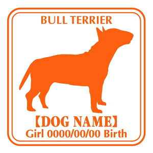 ueA  XebJ[ O V[ fJ[ VGbg Ep^[ J[ V[ fJ[   Ck VGbg e A ANZT[ O name KX XebJ[  oCN X[c