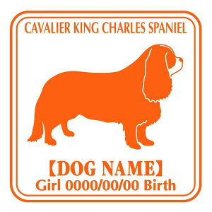 LoALO`[YXpjG XebJ[ Ep^[ ObY O V[ fJ[ VGbg  JbRCC JbR LoA IWi  car J[ V[