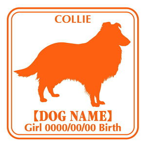 R[  XebJ[ O V[ fJ[ VGbg Ep^[ J[ V[ fJ[   Ck VGbg e A ANZT[ O name KX XebJ[  oCN X[cP[