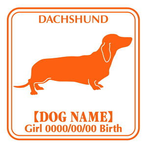 _bNXth@X[X XebJ[ Ep^[ ObY O V[ fJ[ VGbg  JbRCC JbR IWi  car J[ V[ fJ[   Ck VG