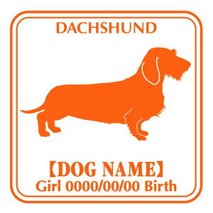 _bNXth C[ XebJ[ Ep^[ ObY O V[ fJ[ VGbg  JbRCC JbR IWi  car J[ V[ fJ[   Ck VGb